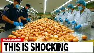 Don&rsquo;t Buy Eggs In These 5 Grocery Stores (Here&rsquo;s Why)