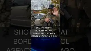 Shots Fired at Border Patrol Agents in Chicago Federal Officials Say