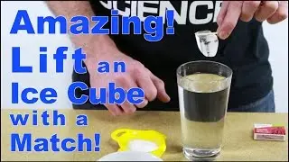 Cool Science Experiment #1 (Lift an Ice Cube with a Match)