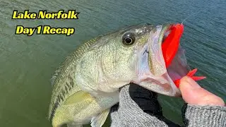 Lake Norfork Day 1 Recap - The Weights Are Tight!