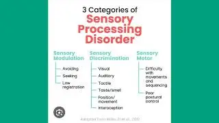 sensory processing disorder & maping in the brain