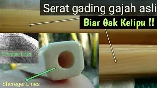 Cara cek keaslian pipa rokok gading | Serat gading gajah asli