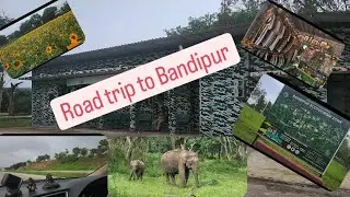 Road trip from Bangalore to Bandipur via Mysore Expressway. Night stay at forest cottage. Full Vlog.