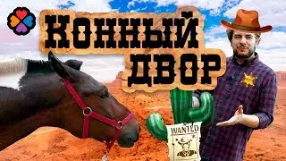 КУДА СХОДИТЬ В МОСКВЕ / Катаемся на лошадях, учимся управлять и ухаживать!
