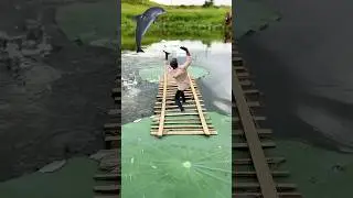 Crazy lotus 🪷🥰 Videography ideas 💡👀 #creative #shorts #videography #sort