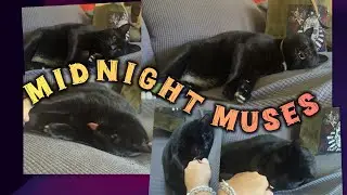 Midnight Muses~ Whispers of Fall~ by SugarMuses | September, 2025 Unboxing 🐈&zwj;⬛✨