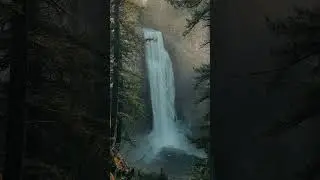 Salt Creek Falls, Oregon #oregonwaterfalls #hikeoregon #pacificnorthwest