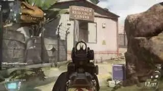 BLOPS II GOLD KSG