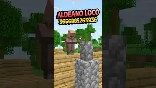 There's a CRAZY VILLAGER in SEED 3656885265936694228