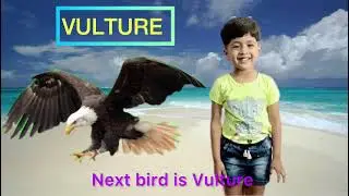 Strong and dangerous Birds😱😱😱 #viral #viralvideo #birds #kids