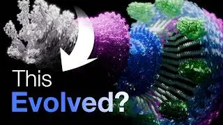 But how did proteins evolve to be so complex?