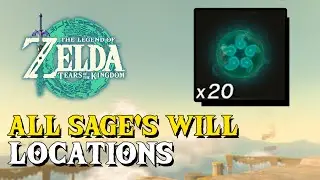 Zelda Tears Of The Kingdom All 20 Sage's Will Locations