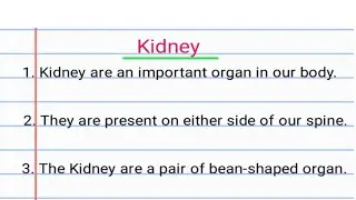 10 Lines on Kidney // 10 Lines Essay on Kidney // Short Essay on Kidney // Short note on Kidney