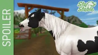 [SSO SPOILER] American Paint Horse & Birthday Horse