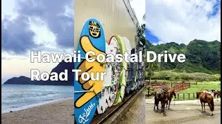4K 60FPS Hawaii Coastal Drive 🚗 | Oahu's Pupukea, Laie, Laniakea Beach, and Haleiwa 🌊