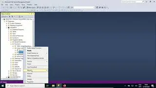 Vïdeo Aula - SQL Server - Excluir Function