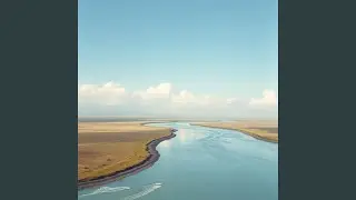 Euphoric Vibes