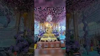 Travel Diary Day 12 📍Bangkok, Thailand #travelvlog #thailand #travel #traveldiary #bangkok #buddha
