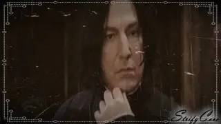 Snape & Hermione - Bring Me To Life