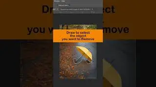 How to Remove Unwanted Object From an Image Using Adobe Photoshop