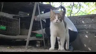 小白趣田裡EP1－在田裡享受泡麵