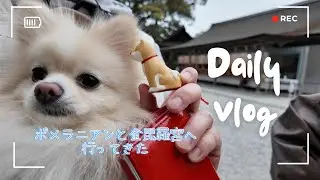 ポメラニアンと金比羅宮へいってきた