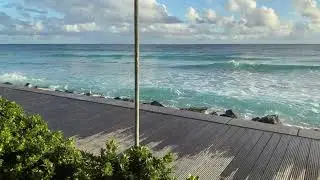 My #holiday in #2019 #barbados #caribbean #travel #beachholiday #fyp #shotoniphone 🇧🇧