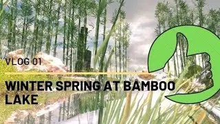 VLOG 01   WINTER SPRING AT BAMBOO LAKE  | FlowScape