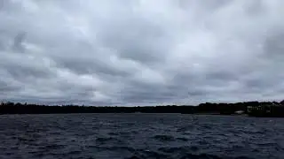 Heavy gale force winds @ Powells pool Sutton Park NNR ( 45mph)