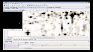 Quantitative Auswertung von 2DE Gelen, basierend auf Image Warping, Spotdetektion und Normalisierung