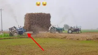 Ford Tractor stunt Ford 3600 & MF 375 & Ford 3610 Pawer show sugarcane loaded Trolley