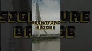 VIEW OF SIGNATURE BRIDGE DURING METRO TRIAL RUN #metro #dmrc #trialrun #shortvideo #shorts