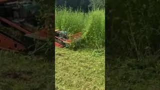 This is a tool for cutting weeds or cutting leaves