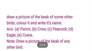 Flying High, Text Book Exercises,  Questions And Answers, Class3, EVS, NCERT