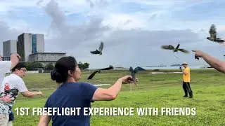 WOPC Member&rsquo;s Turquoise Green Cheek Conure Completes Freeflight Training