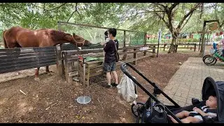 桃園 埔心牧場 : 印象中的老牌牧場/ 餵動物