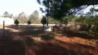 Morning Dove Kill
