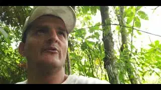 Rodemos !  Granada! El Rosal Finca Agroecol&oacute;gica.Colibr&iacute;es, tangaras ,Cafe ,Panela y Charcos Bacanos
