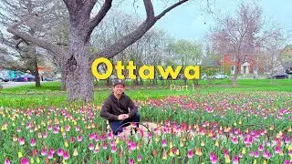 Ottawa Travel Diary Part 1 | Canada Tulip Festival, Commissioners Park