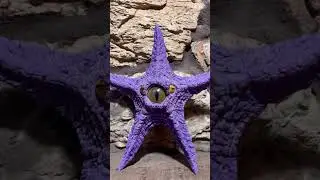 STARRO ⭐️🌟DC Multiverse BAF #actionfigures #dccomics #dc #actionfigure #suicidesquad #batman #jla