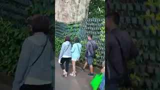 #lamesaecopark