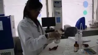 Curva de calibración para Fósforo Total