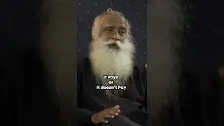 Sadhguru : career guidance
