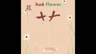 How to Write the Chinese Character 花 huā #writing #chinese #mandarin #calligraphy