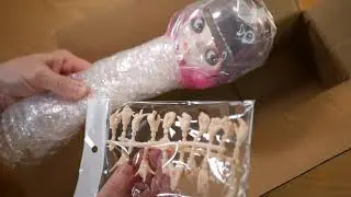 AliExpress Fakey Factory Blythe doll matt-faced unboxing *ADULT DOLL COLLECTOR*