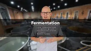 Cambio Reposado: Taking Fermentation to Another Level