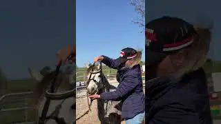 This Pony wants the bit in her mouth #shortsyoutube