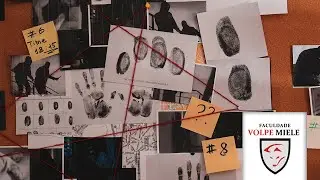 Profiling Criminal: Introdu&ccedil;&atilde;o &agrave; An&aacute;lise Comportamental no Contexto Investigativo