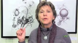 Wellesley College Art Instructor featured in exhibit at Wellesley Botanical Gardens