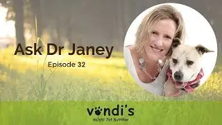 Dr Janey&rsquo;s Pet Series &ndash; Episode 32: Colloidal silver ~  a powerful natural antimicrobial!